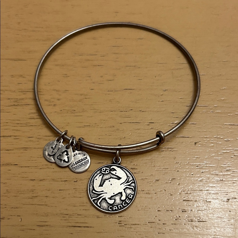 Alex and Ani Zodiac Cancer Silver Charm Adjustable Bangle